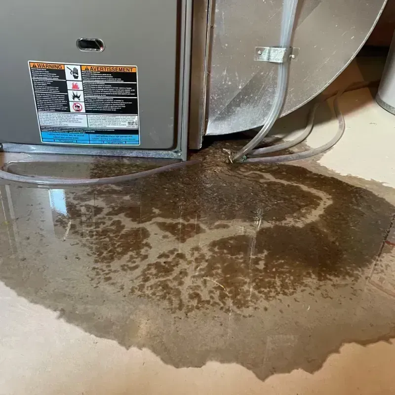 Appliance Leak Cleanup in Rome City, IN